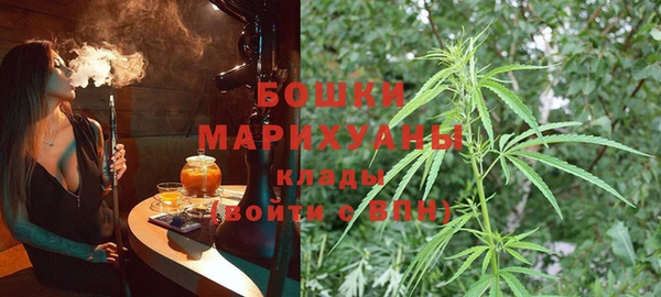 прущий лед Пестово