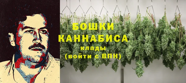 стафф Краснослободск